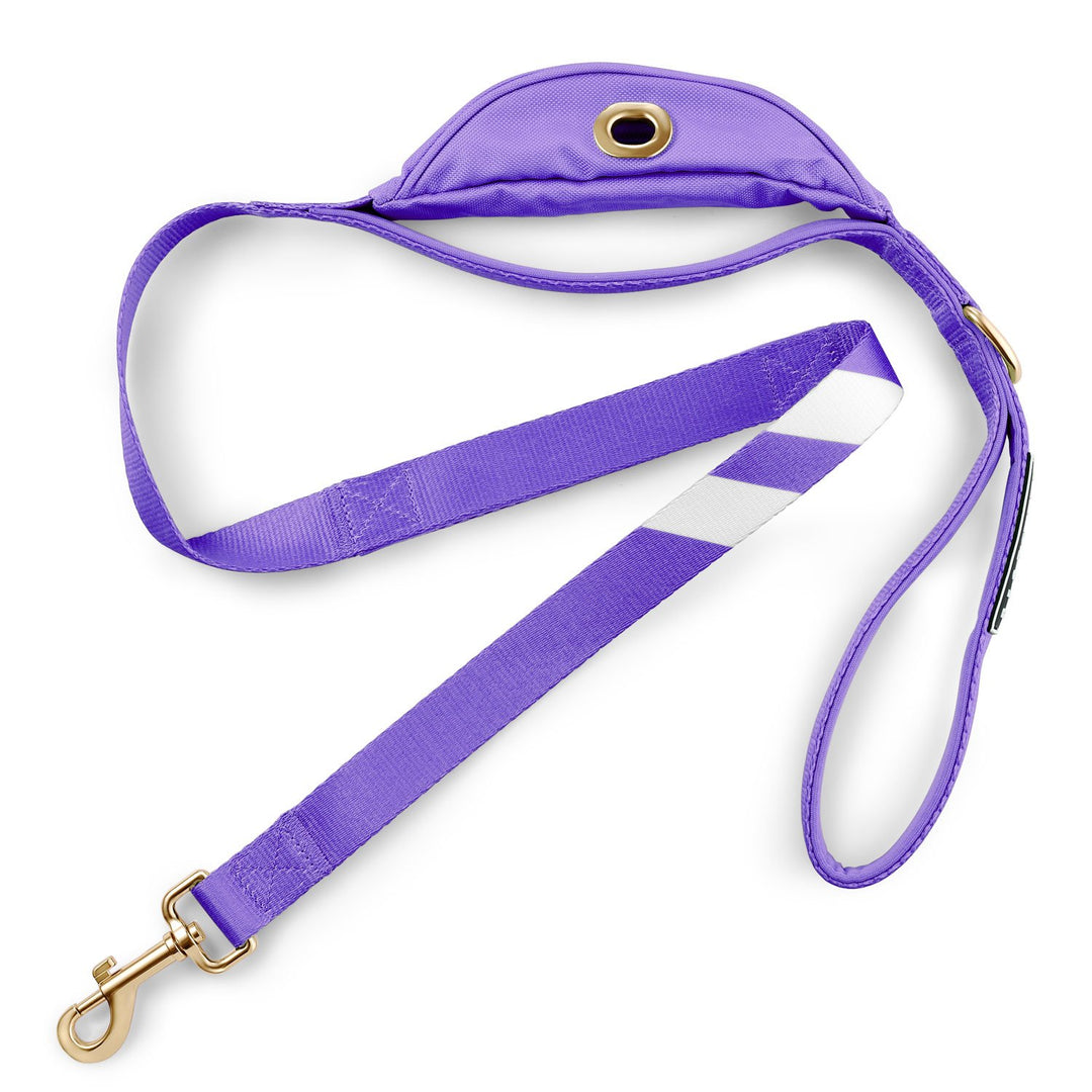 Party Purple - Cargo Leash leash bestlifeleashes 