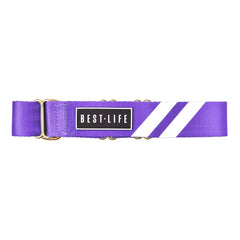 Party Purple - Martingale Collar collar bestlifeleashes 