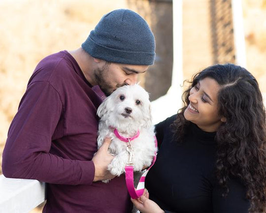 Perfect Pink - Cargo Leash leash bestlifeleashes 