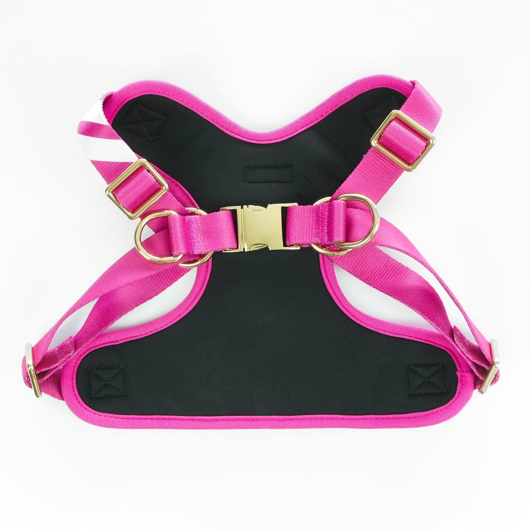 Perfect Pink - Comfort Harness Pet Collars & Harnesses Best Life Leashes | The Symbol For Rescue Dogs 