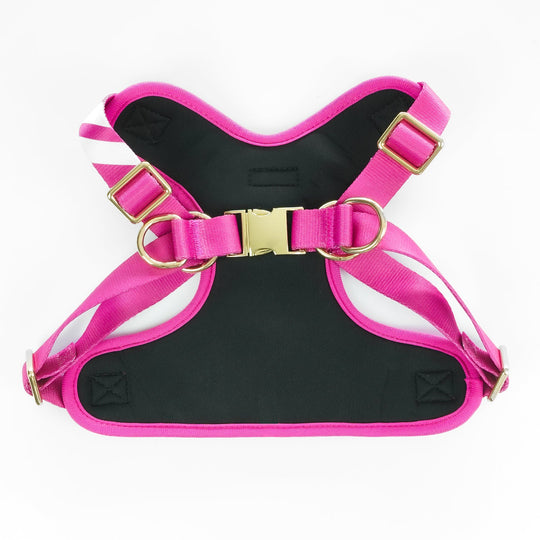 Perfect Pink - Comfort Harness Pet Collars & Harnesses Best Life Leashes | The Symbol For Rescue Dogs 