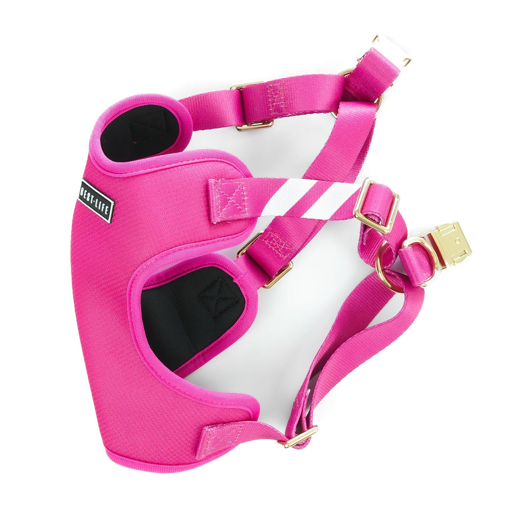 Perfect Pink - Comfort Harness Pet Collars & Harnesses Best Life Leashes | The Symbol For Rescue Dogs 