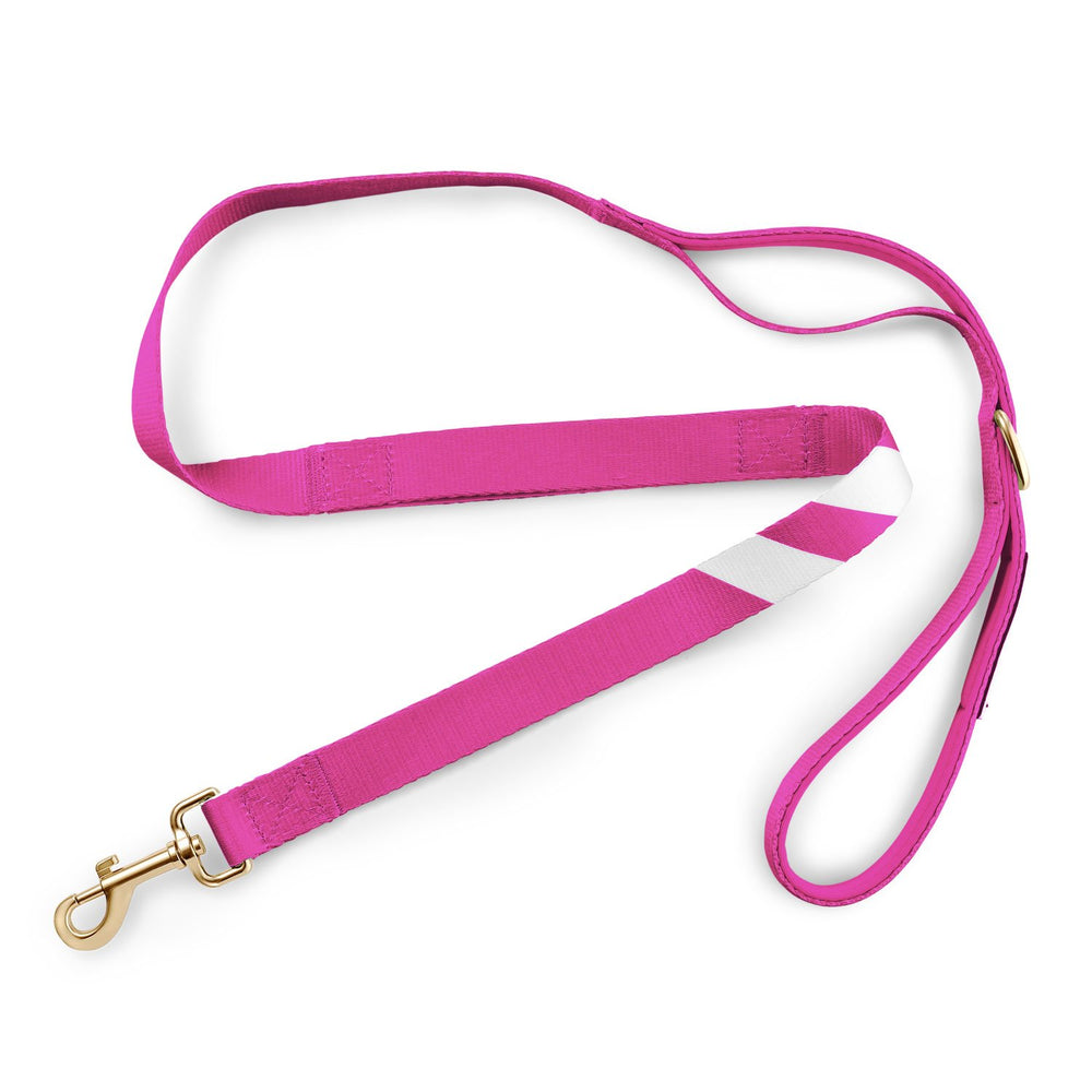 Perfect Pink - Companion Leash 4ft leash bestlifeleashes 