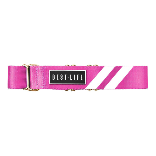 Perfect Pink - Martingale Collar collar bestlifeleashes 