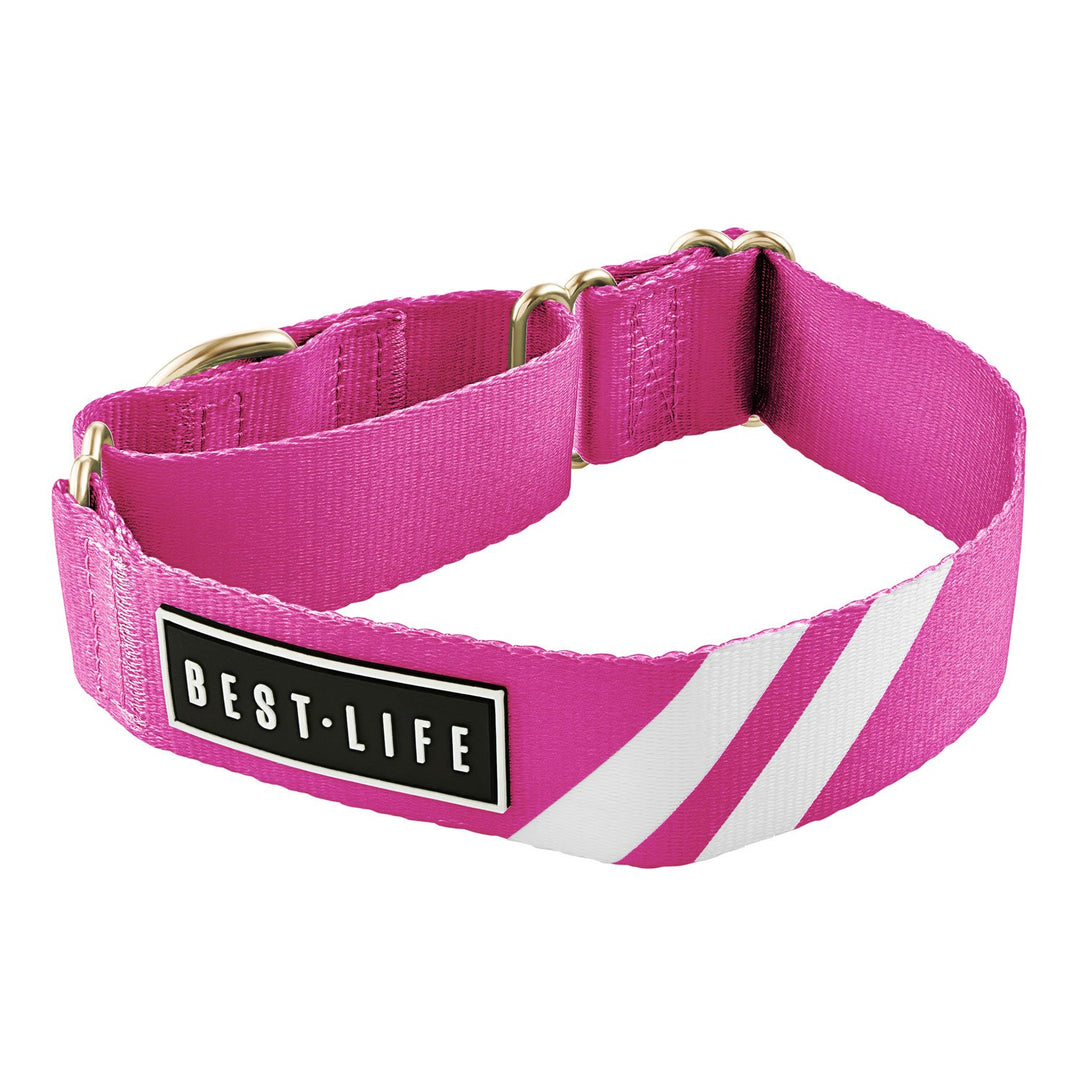 Perfect Pink - Martingale Collar collar bestlifeleashes 
