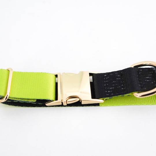 Phantom Wave - Buckle Collar collar Best Life Leashes | The Symbol For Rescue Dogs 