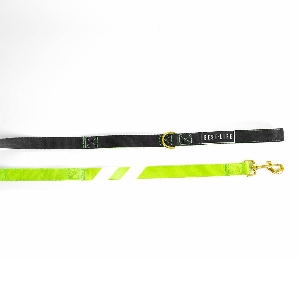 Phantom Wave - Companion Leash 6ft leash Best Life Leashes | The Symbol For Rescue Dogs 