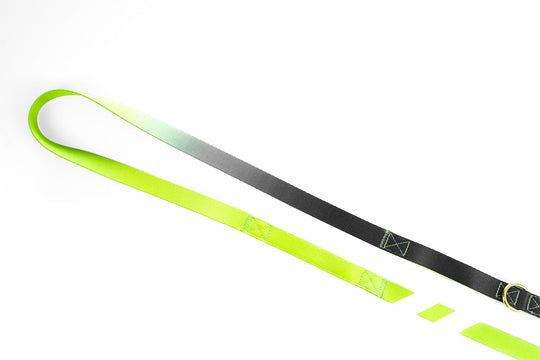 Phantom Wave - Companion Leash 6ft leash Best Life Leashes | The Symbol For Rescue Dogs 