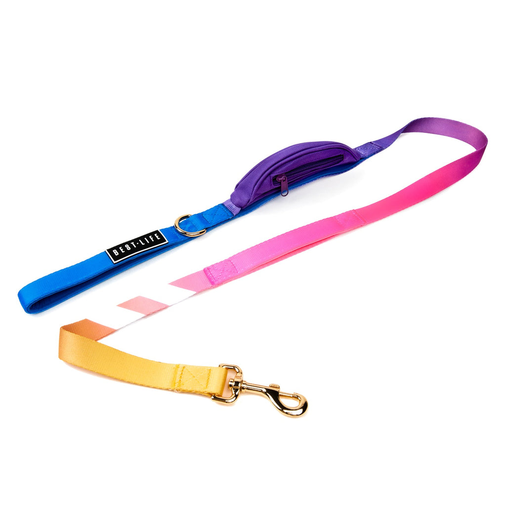 Prism Wave - Cargo Leash 5ft leash Best Life Leashes | The Symbol For Rescue Dogs 