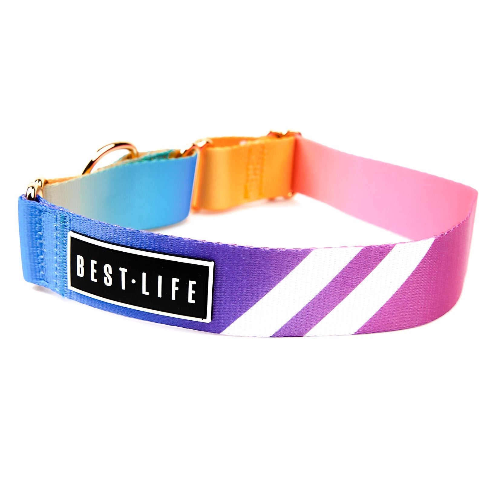 Prisma Wave - Martingale Collar collar Best Life Leashes | The Symbol For Rescue Dogs 