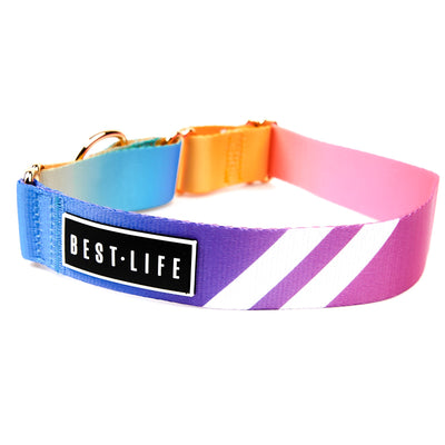 Prisma Wave - Martingale Collar collar Best Life Leashes | The Symbol For Rescue Dogs 