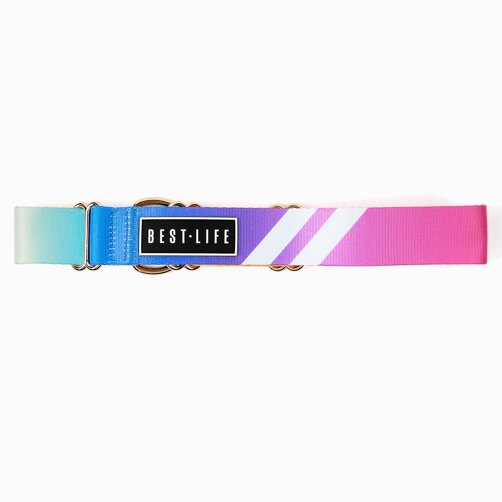 Prisma Wave - Martingale Collar collar Best Life Leashes | The Symbol For Rescue Dogs 