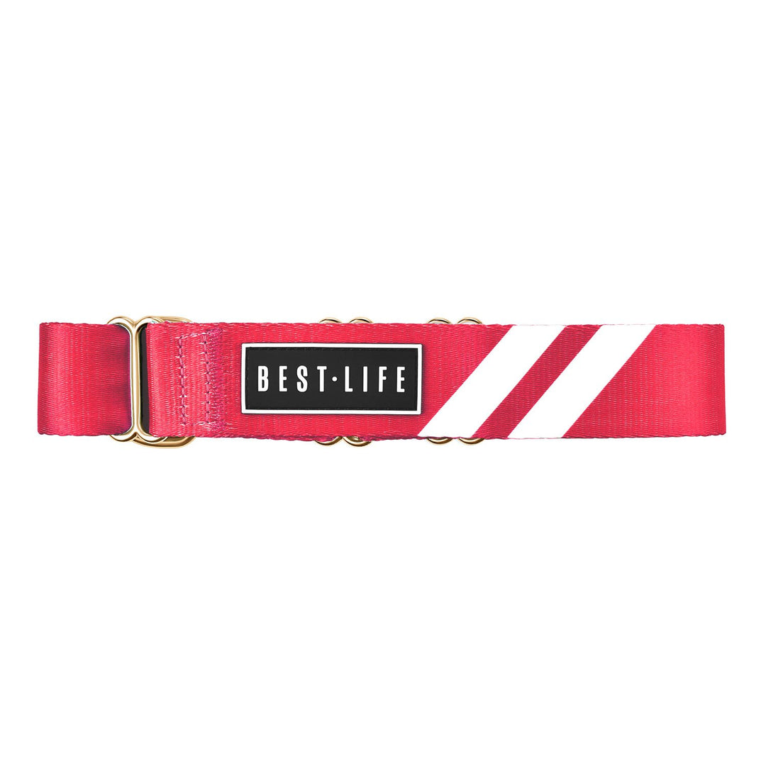Rad Red - Martingale Collar collar bestlifeleashes 