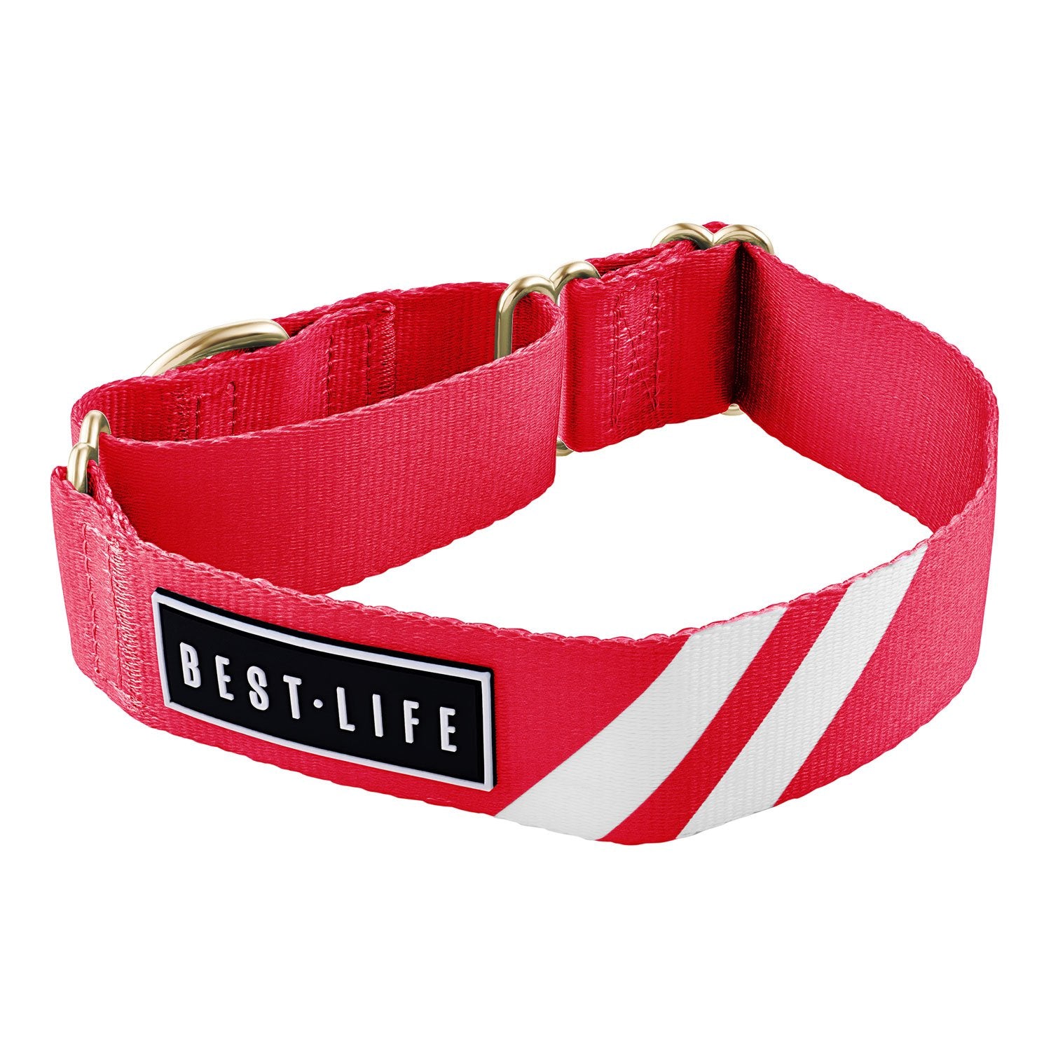 Rad Red - Martingale Collar collar bestlifeleashes 