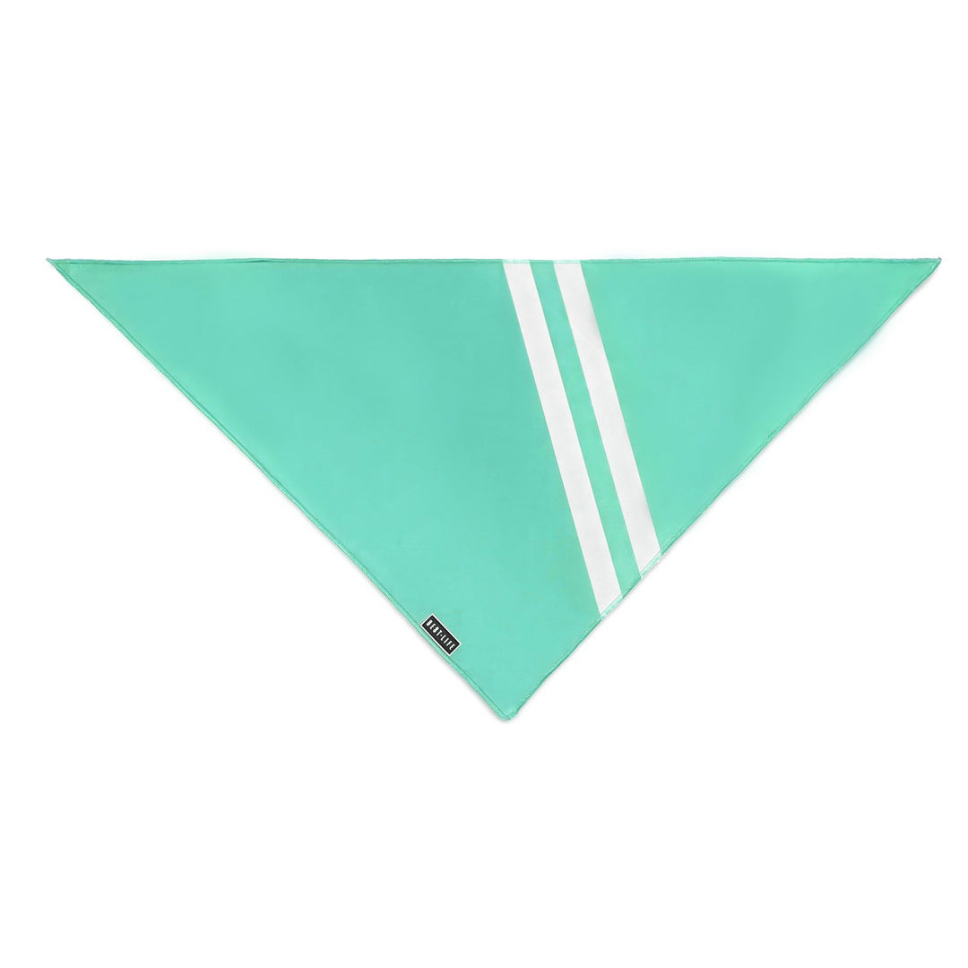 Real Teal - Bandana bandana Best Life Leashes | The Leash For Rescue Dogs 