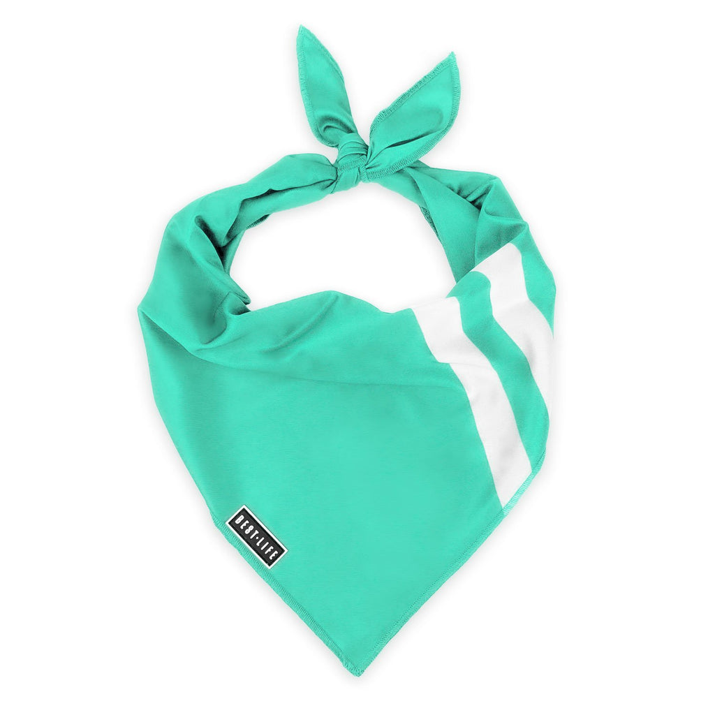 Real Teal - Bandana bandana Best Life Leashes | The Leash For Rescue Dogs 