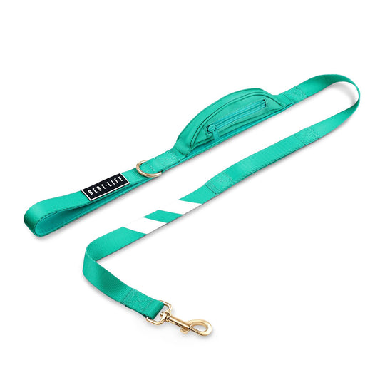 Real Teal - Cargo Leash 4ft leash bestlifeleashes 