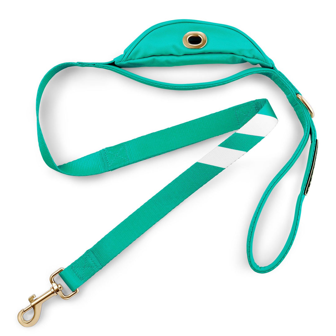 Real Teal - Cargo Leash 4ft leash bestlifeleashes 