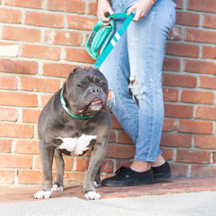 Real Teal - Cargo Leash 4ft