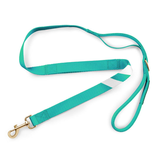Real Teal - Companion Leash 4ft leash bestlifeleashes 