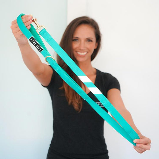 Real Teal - Companion Leash 4ft leash bestlifeleashes 