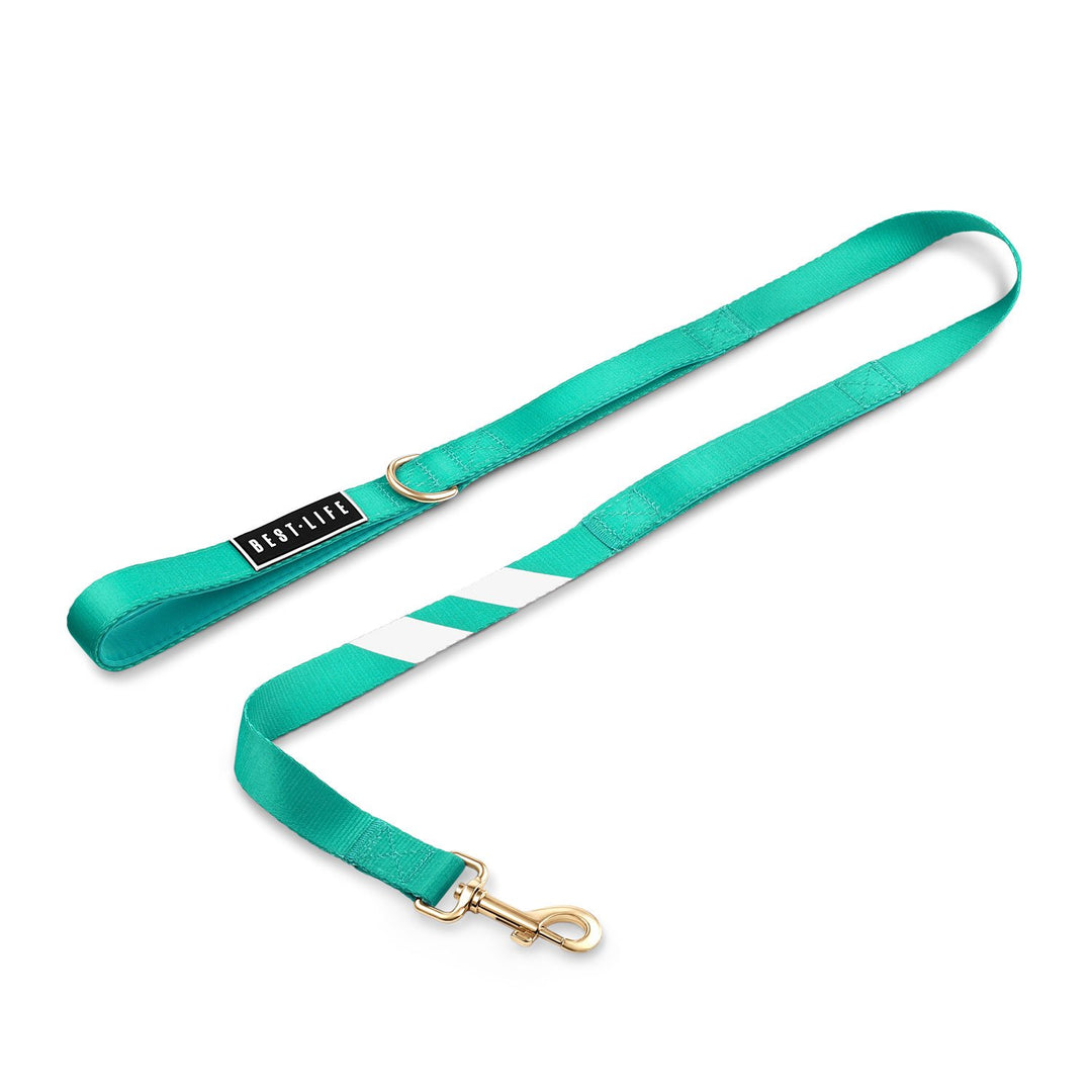 Real Teal - Companion Leash 4ft leash bestlifeleashes 
