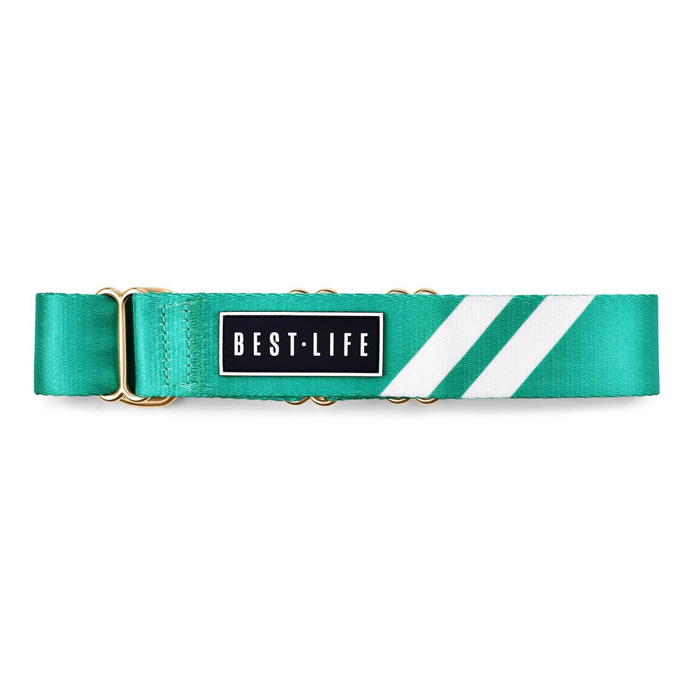 Real Teal - Martingale Collar collar bestlifeleashes 