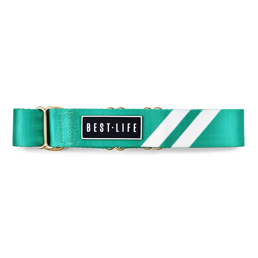 Real Teal - Martingale Collar collar bestlifeleashes 