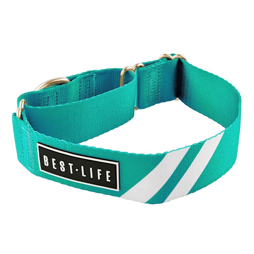 Real Teal - Martingale Collar collar bestlifeleashes 