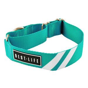 Real Teal - Martingale Collar collar bestlifeleashes 