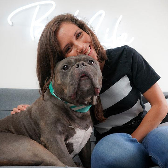 Real Teal - Martingale Collar collar bestlifeleashes 